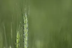 101239915_290477945321260_2265244377543008844_n